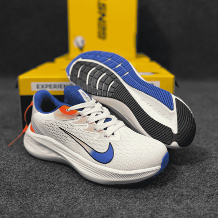 Nike Pegasus Running Shoes (Blue)